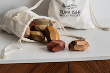 Load image into Gallery viewer, 11 piece Tumi Ishi block set