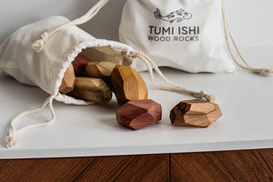 11 piece Tumi Ishi block set